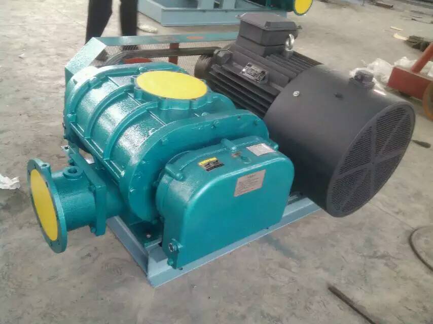 三葉羅茨風(fēng)機(jī)